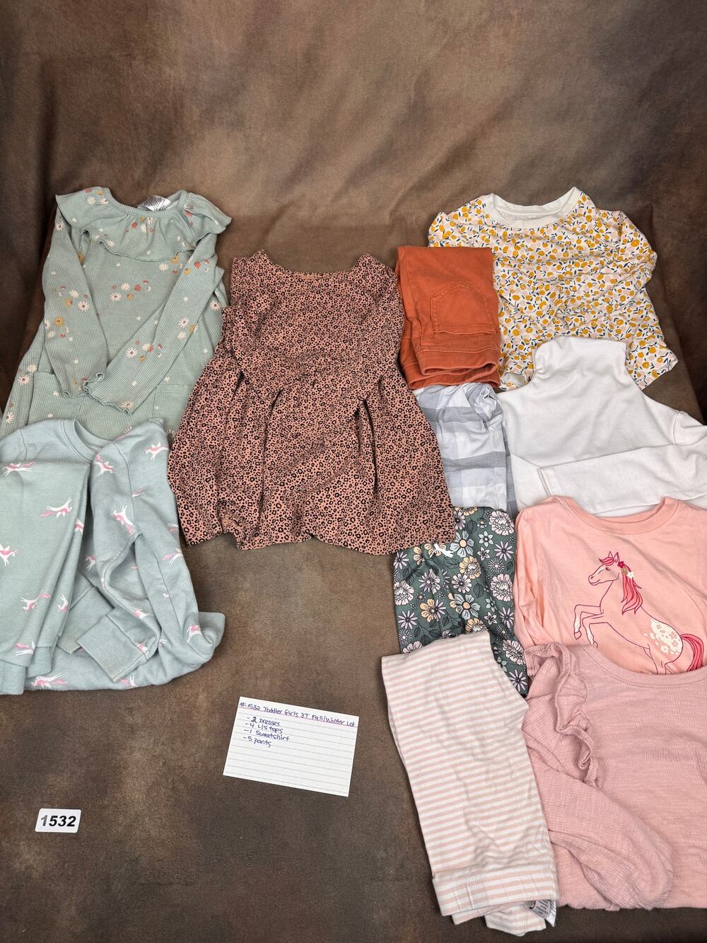 Toddler Girls 3T Fall/Winter Clothing Lot (1532)
